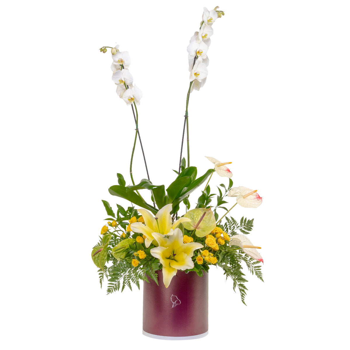 Orquidea en caja