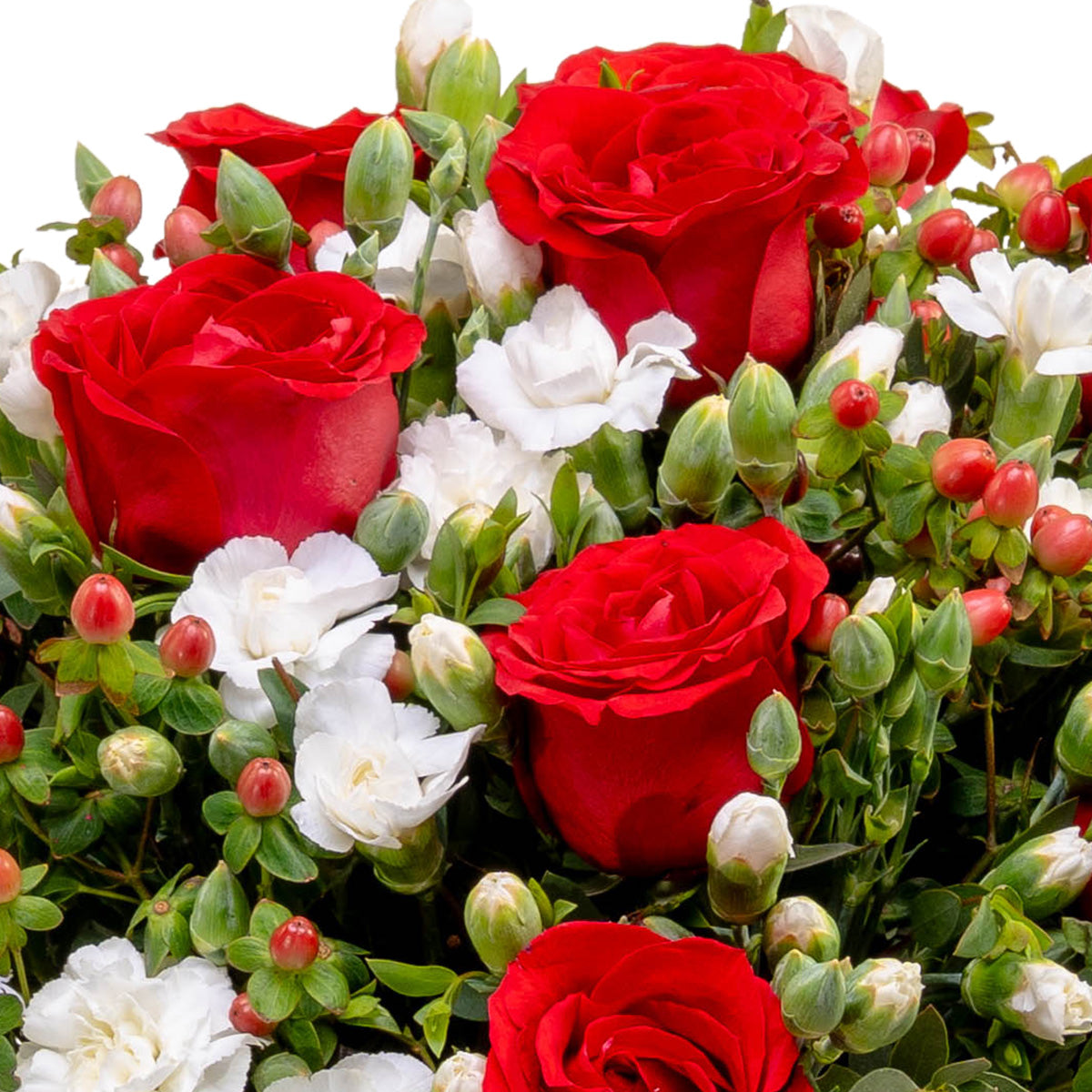 Selección de rosas y claveles