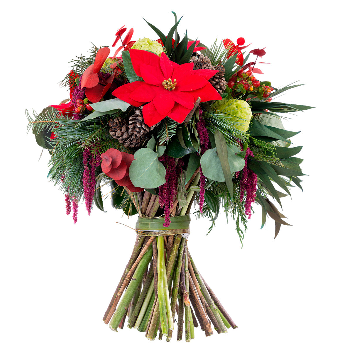 La magia de la navidad, con flores.