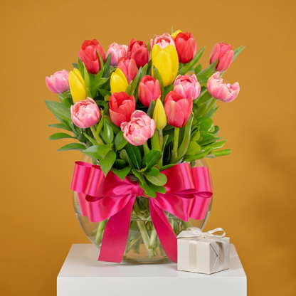 Tulipanes de colores