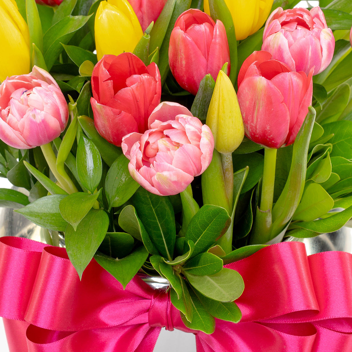 Tulipanes de colores