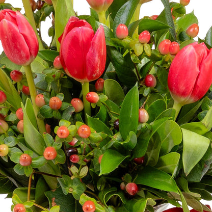 Tulipanes en un solo color